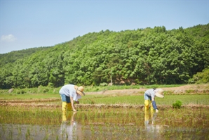 “중장년, 도심 벗어나고 싶다면”…경기도, 베이비부머 농촌 한 달 체험 참가자 모집