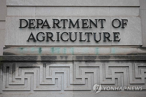 AFP연합뉴스