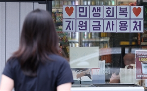'소비쿠폰 쓰러 다이소 가야지' 했는데…"이 지점은 안 된다고요?"