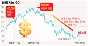 영란은행 “달러 충격 대비하라”…트럼프發 금융불안 고조