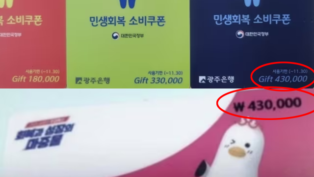 논란이 된 민생회복 소비쿠폰. 사진=뉴스1, 온라인 커뮤니티