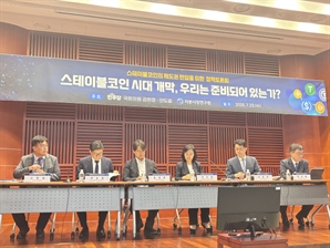 "원화코인, 손실보전 조항 의무화 필요"