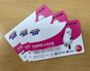 "내 세금으로 85만원 줬다고?"…귀화 여성 소비쿠폰 인증에 쏟아진 댓글 테러, 왜?