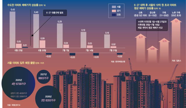 사진 설명