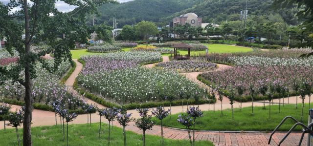 전남 장성 무궁화공원. 사진제공=산림청