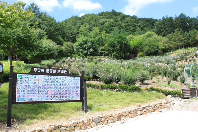 강원 홍천 무궁화수목원내 무궁화품종원. 사진제공=산림청