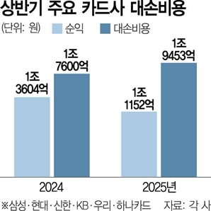 상생 압박 큰데…카드사 대손비용 2조