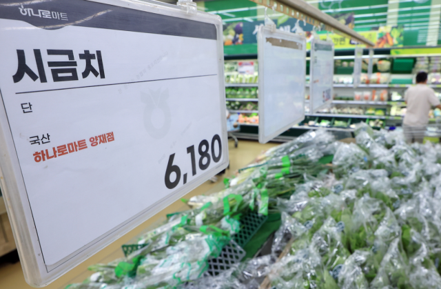뉴스1