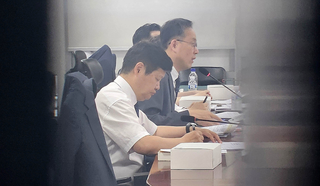 이형일(왼쪽 두 번째) 기획재정부 1차관이 29일 국회 의원회관에서 열린 세제개편안 마련을 위한 비공개 당정협의회에 참석해 발언하고 있다. 오승현 기자