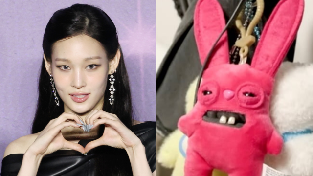 올데이프로젝트 멤버 애니와 애니 가방에 달린 퍼글러 키링. 사진=뉴스1, MBC ‘전지적참견시점’ 캡쳐