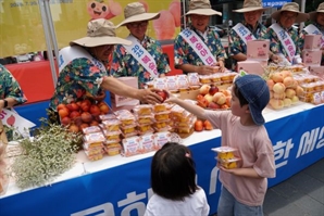 한국복숭아생산자협의회, 청계광장에서 2025 복숭아데이 성황리 개최