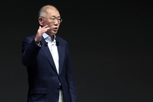정의선 회장, 韓美 관세협상 지원 위해 워싱턴 간다…총수로는 두 번째