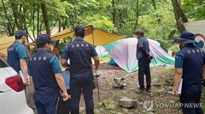 "계곡 내 평상·그늘막 금지"…정부, 불법시설 단속·관리 강화