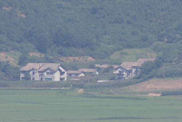 29일 경기도 파주시 오두산 통일전망대에서 바라본 북한 황해북도 개풍군에서 북한 주민들이 농사일을 하고 있다. 연합뉴스.