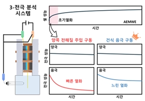 기사제목