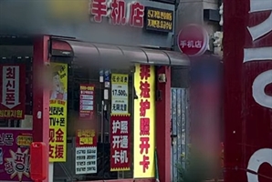 "불법 여권 OK" 중국어 간판 논란…서울 한복판 대포폰 개통?
