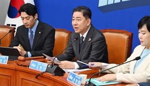 與, 한미 관세협상 비판한 野에 "어느나라 정당이냐" 맹비난