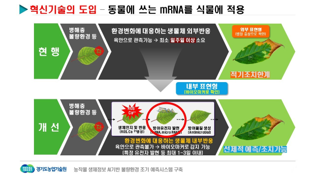 생체정보 기반 불량환경 대응 체계. 그래픽 제공 = 경기도농업기술원