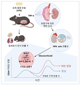 임신 중 염증, 출생 후 천식 등 알레르기 유발 원인 찾아냈다 [헬시타임]