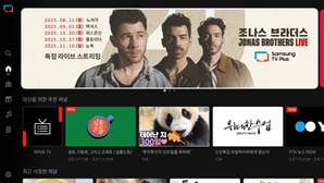 조나스 브라더스 20주년 콘서트…삼성 TV플러스서 독점 생중계