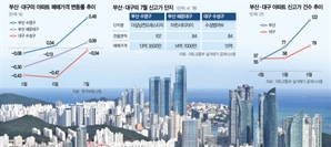 '6·27 규제' 피한 지방, 부동산 회복하나… 대구 원정 갭투자족 부활
