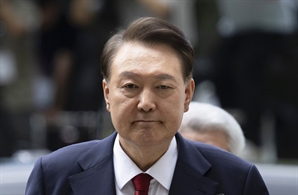 "尹 몸에 손대면 법적 조치"…'담요에 돌돌 말아야' 보쌈 발언에 보인 반응