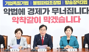 '깜깜이 관세·세제 개편안' 때리는 국힘