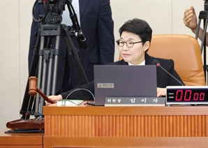 野 임이자 "美 FTA 지위 잃은 게 가장 큰 위협…대주주 기준 100억 올려야"