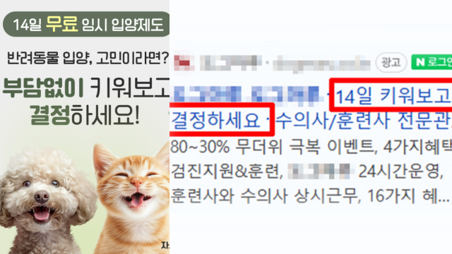 "댕댕이 14일 체험 후 맘에 안 들면 반품?"…네이버에 뜬 황당 광고, 정체는 [이슈, 풀어주리]