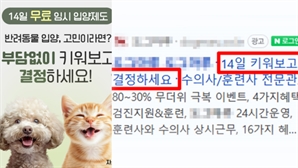 "댕댕이 14일 체험 후 맘에 안 들면 반품?"…네이버에 뜬 황당 광고, 정체는 [이슈, 풀어주리]