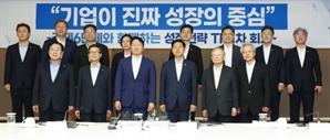 최태원 "기업 성장 막는 규제 고쳐야"…정부 "전면 재검토" 화답