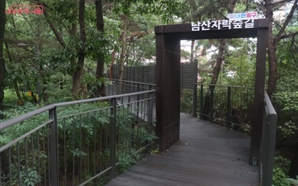 삶과 기억을 남산자락숲길에…중구, '어르신 글짓기 대회'