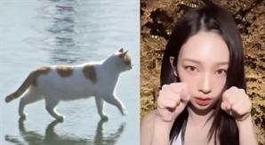 “꽁꽁 얼어붙은 한강 위로”…카리나도 따라한 고양이 근황은?