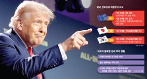 "약속과 다르잖아" 특별조치 빠진 日…'車 15%' 시행도 안갯속