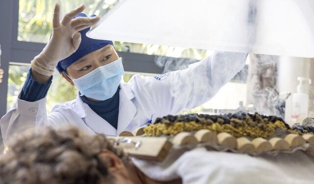 '내년부터 외국인도 성형 수술비 전액 부담'…中은 의료관광 총공세 日은 막차 탑승 중? [이슈, 풀어주리]