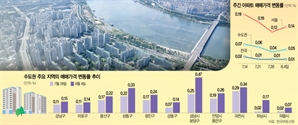 기사제목