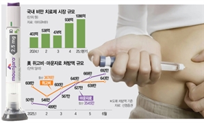 ‘효능+가격’ 무장한 마운자로… 릴리, 위고비에 도전장