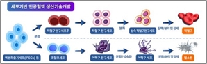 줄기세포로 만든 인공혈액, 임상·품목허가 길 열렸다
