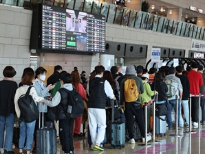 "정말 잘못했습니다" 봐 달라던 제주도 통했다…일본·베트남 제치고 결국