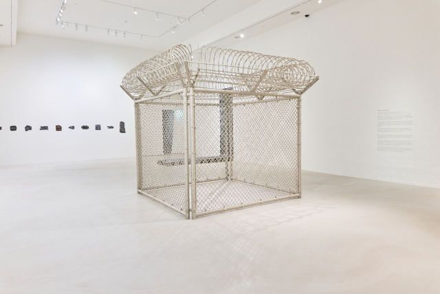 라이자 루, ‘보안 울타리(Security Fence·2005)’ /자료제공=포도뮤지엄, 리만머핀