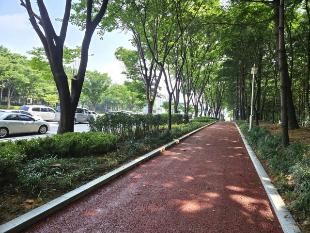 백마로 미세먼지 저감 도시숲. 사진 제공=고양시