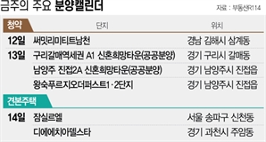 [분양 캘린더]대우건설 '왕숙푸르지오더퍼스트' 등 4233가구 분양
