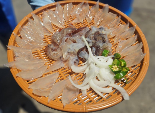 '5만6000원인데 양보고 기절할 뻔'…속초 오징어 난전, 이번엔 '바가지 논란'