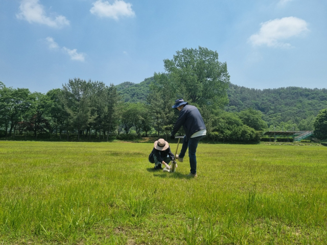 광주 파크골프장 잔류농약 안정성 조사 현장 사진. 광주시 제공