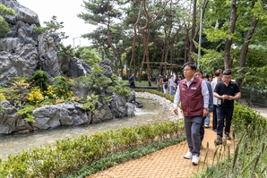 "댕댕이들, 쉬러 가자"…마포구, '댕댕이 폭포' 완공