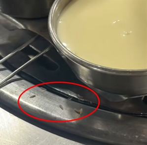 삼겹살 굽는 불판 옆에서 구더기가 '꿈틀꿈틀'…위치 알고 보니 '반전'