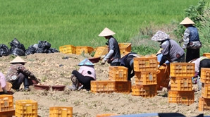 웰컴저축銀, 외국인 전용 체크카드 출시