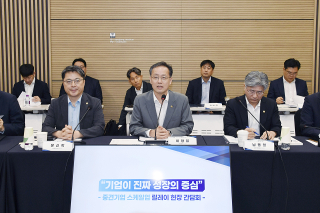 이형일(가운데) 기획재정부 1차관이 13일 개최된 ‘중견기업 스케일업 릴레이 현장 간담회’에서 발언을 하고 있다. 사진제공=기재부