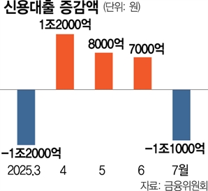 ‘6·27 규제’에 신용대출 1.1조 급감