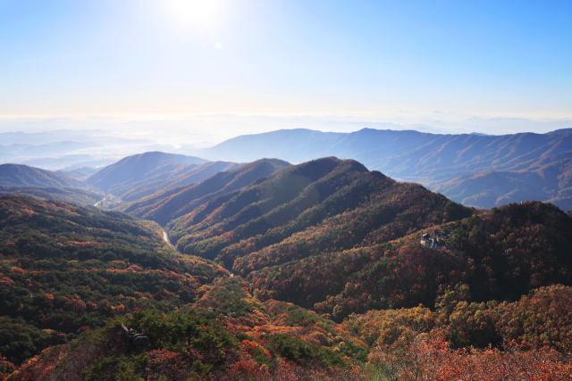 대구 팔공산의 가을. 사진제공=대구문화예술진흥원